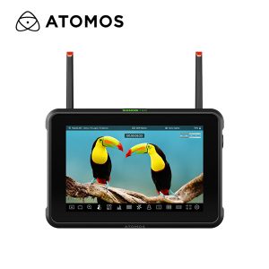 Atomos Shinobi 7 RX – Monitor y receptor de 7"