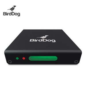 Bird Dog Mini NDI Codificador/Decodificador